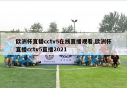 欧洲杯直播cctv5在线直播观看,欧洲杯直播cctv5直播2021