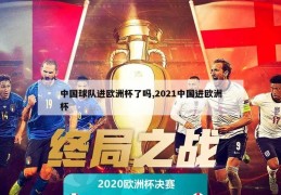 中国球队进欧洲杯了吗,2021中国进欧洲杯