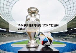 2024欧洲杯用球硬吗,2024年欧洲杯足球场
