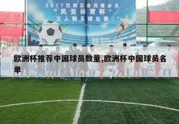 欧洲杯推荐中国球员数量,欧洲杯中国球员名单